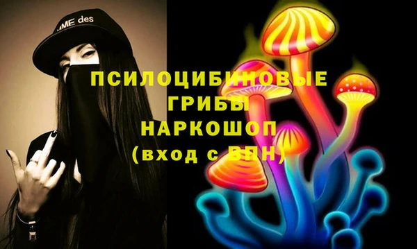 ешки Алексеевка
