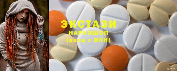 индика Вяземский