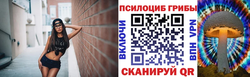 Псилоцибиновые грибы мицелий Снежинск